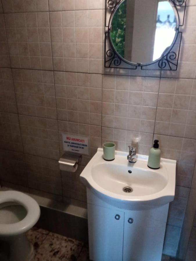 Casa Iuliana Hotel Subcetate  Eksteriør billede