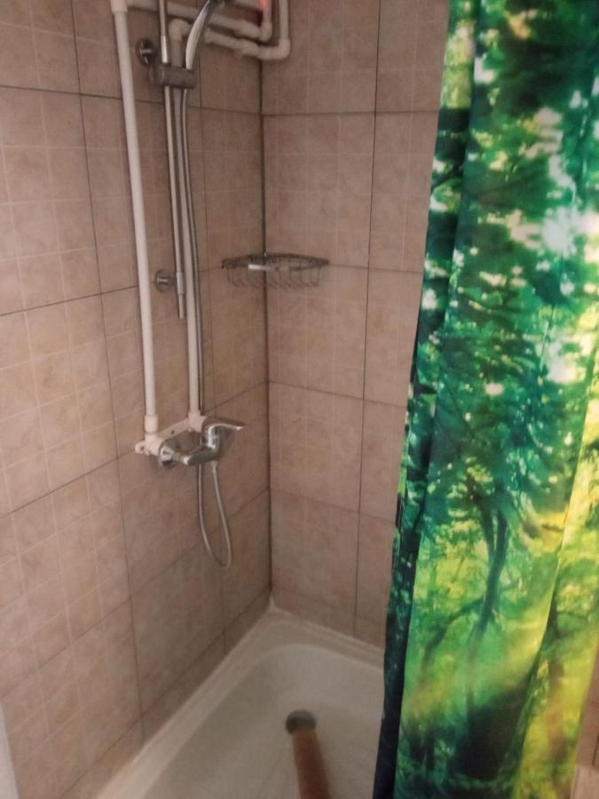Casa Iuliana Hotel Subcetate  Eksteriør billede